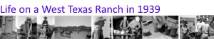 blocker dan texas